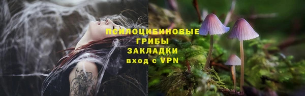 mdpv Верхний Тагил