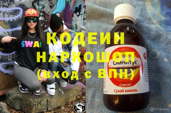 прущие грибы Бородино